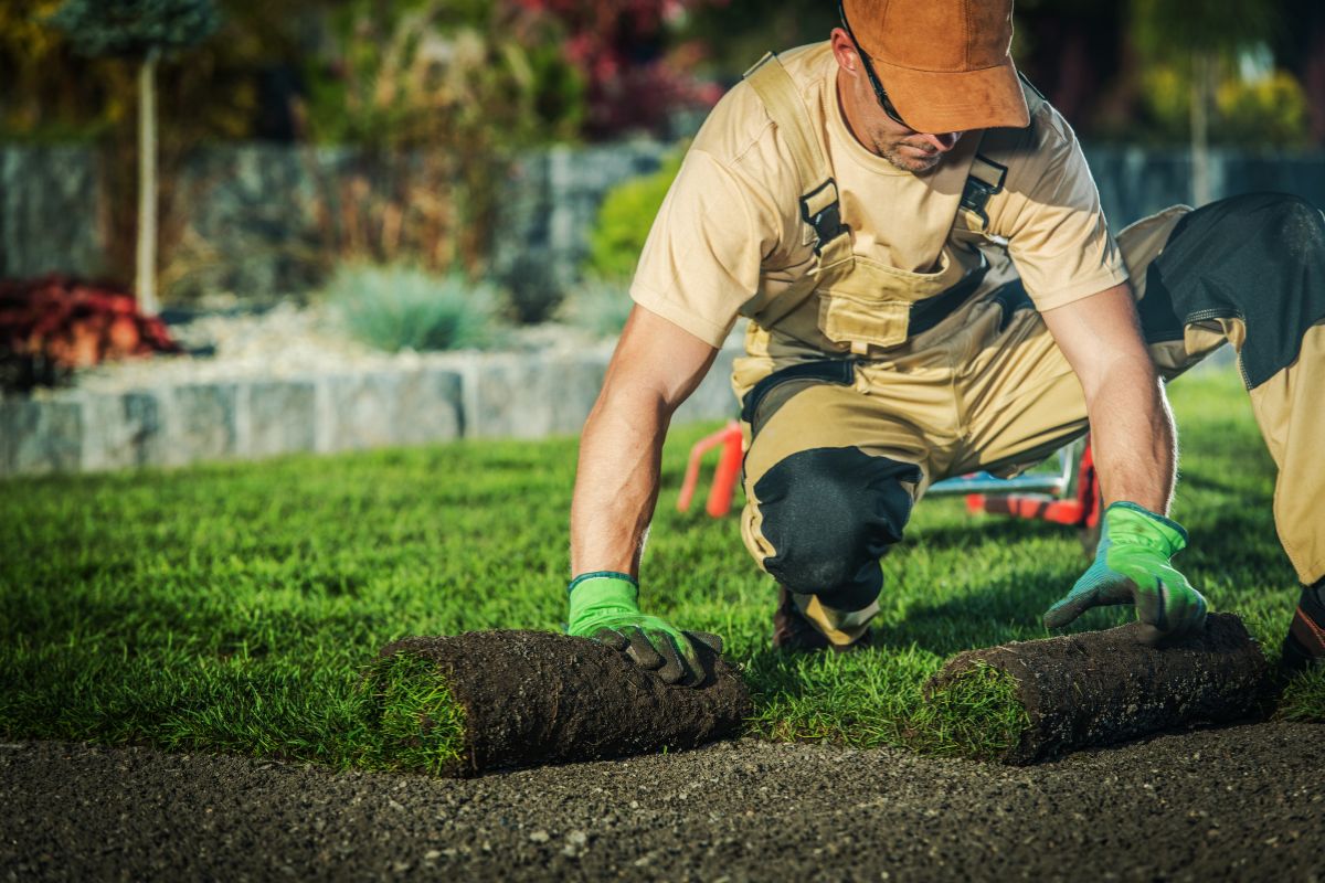A man in a landscaping apron bends of sod being placed on a lawn.